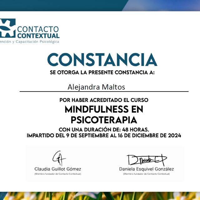 Ampliar imagen: certificate 1