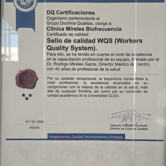Ampliar imagen: certificate 1