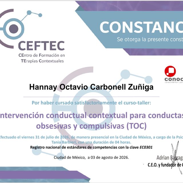 Ampliar imagen: certificate 12