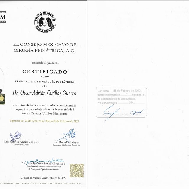 Ampliar imagen: certificate 1