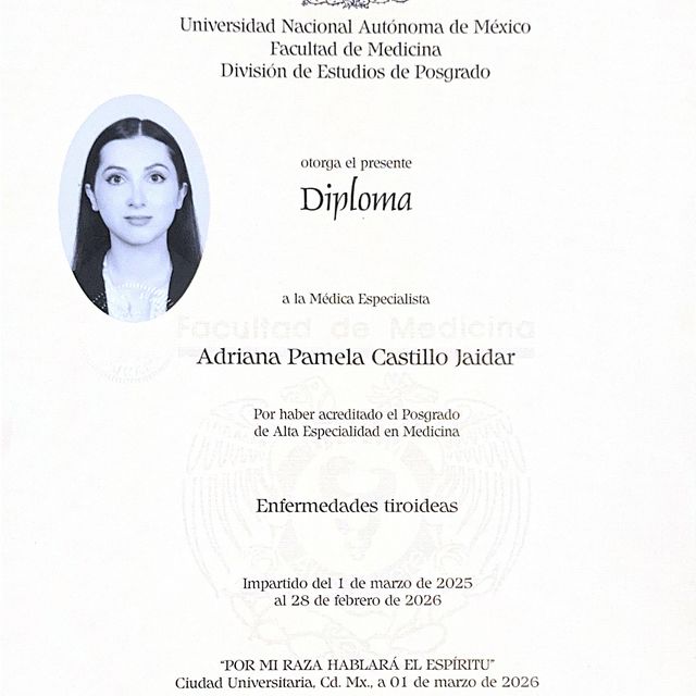 Ampliar imagen: certificate 1