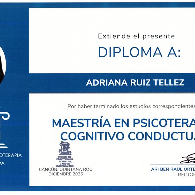 Ampliar imagen: certificate 2