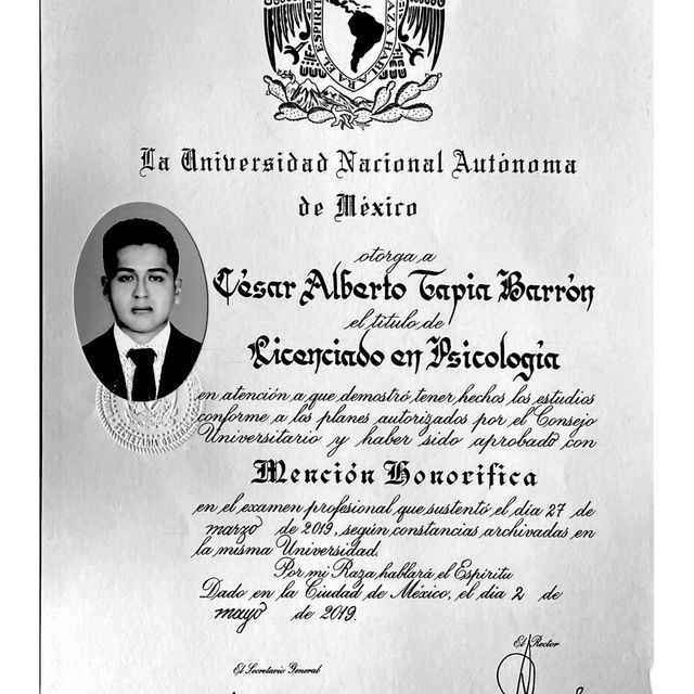 Ampliar imagen: certificate 1