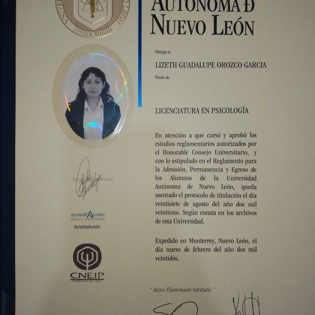 Ampliar imagen: certificate 1
