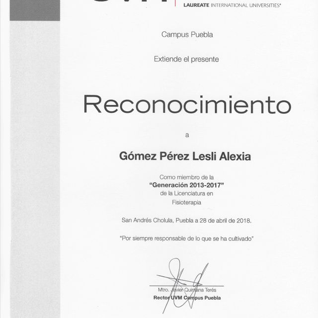 Ampliar imagen: certificate 5