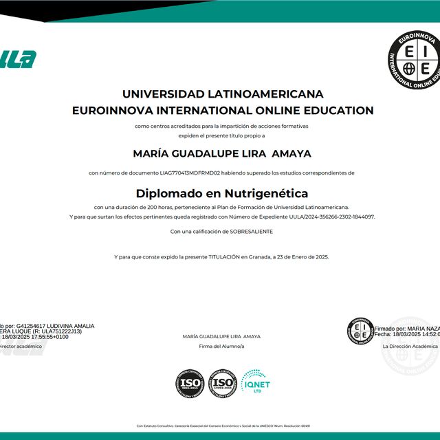 Ampliar imagen: certificate 10