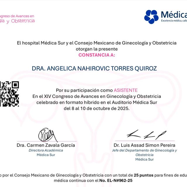Ampliar imagen: certificate 3
