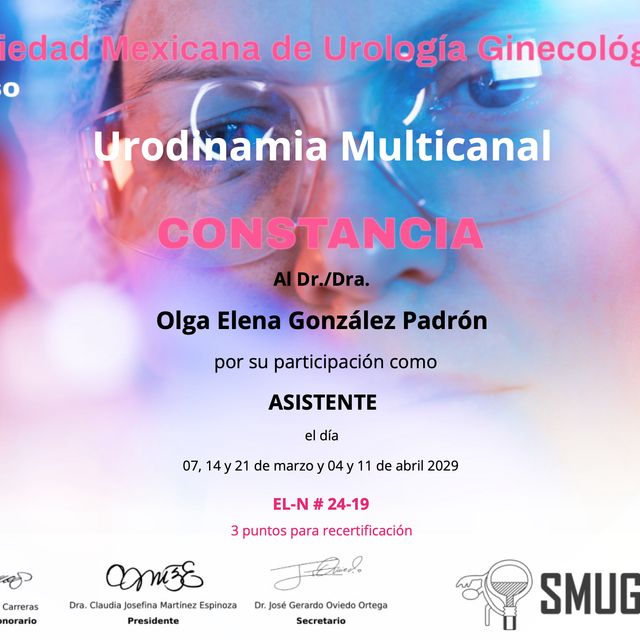 Ampliar imagen: certificate 28