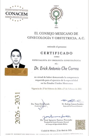 Ampliar imagen: certificate 2