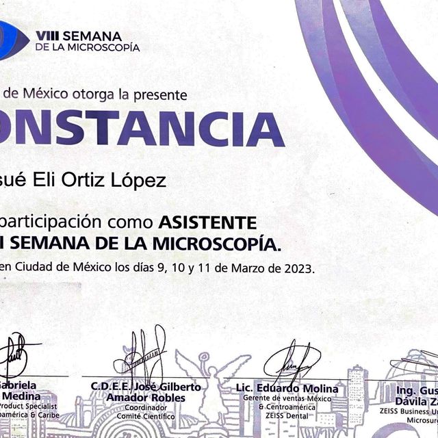 Ampliar imagen: certificate 39