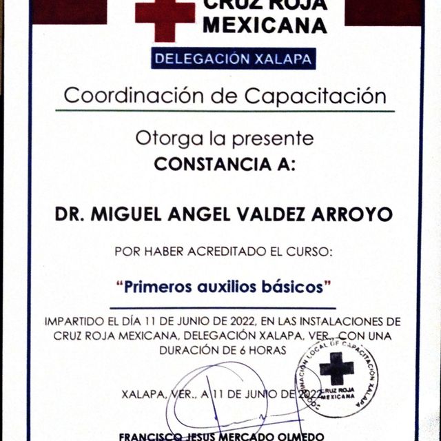 Ampliar imagen: certificate 7