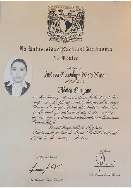 Ampliar imagen: certificate 3