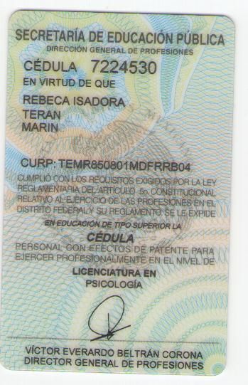 Ampliar imagen: certificate 4