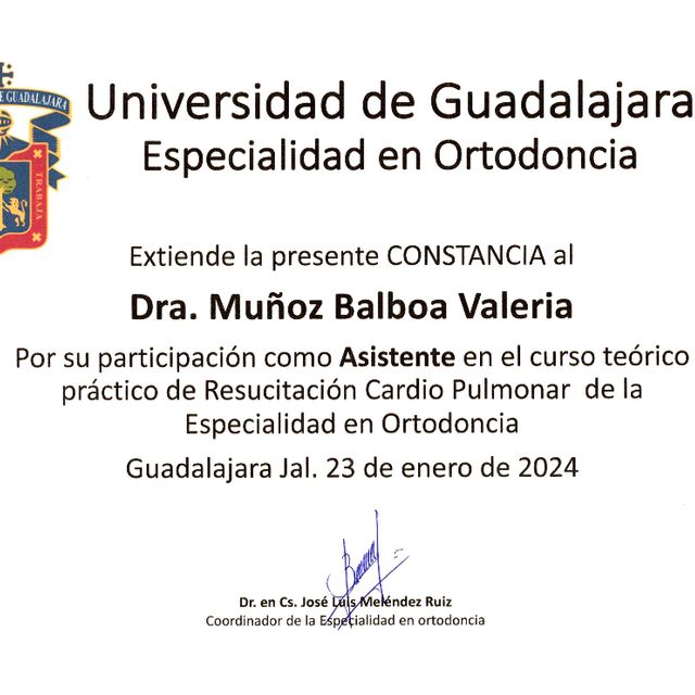Ampliar imagen: certificate 9