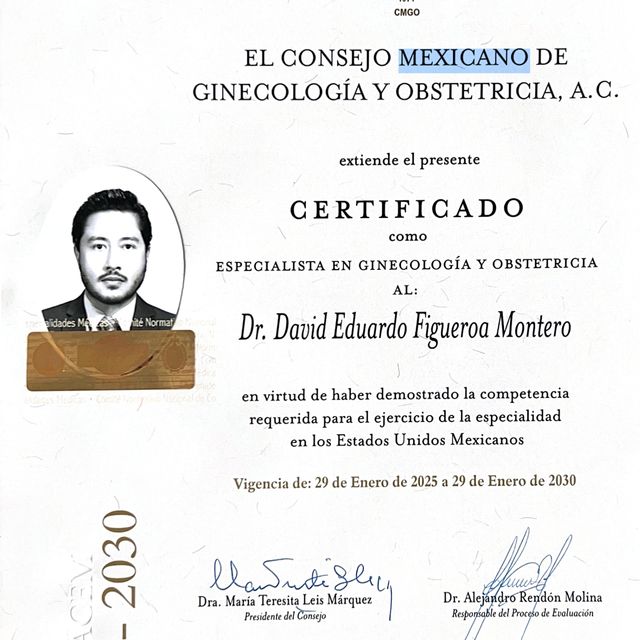 Ampliar imagen: certificate 4