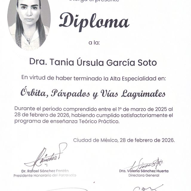 Ampliar imagen: certificate 3