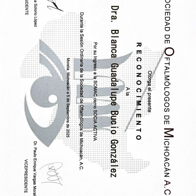 Ampliar imagen: certificate 5