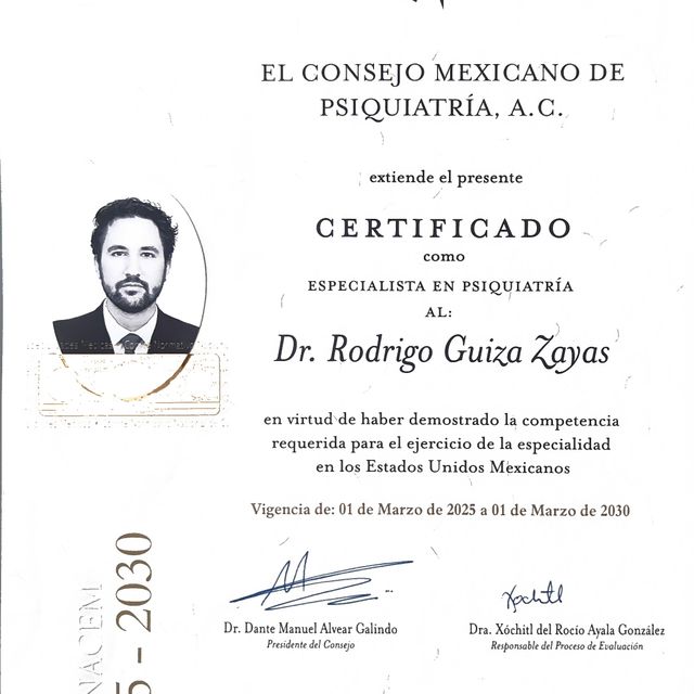 Ampliar imagen: certificate 1