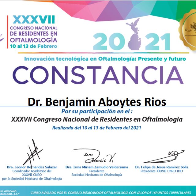 Ampliar imagen: certificate 5