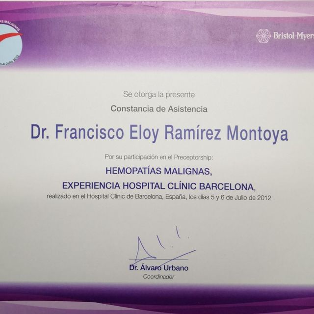 Ampliar imagen: certificate 13