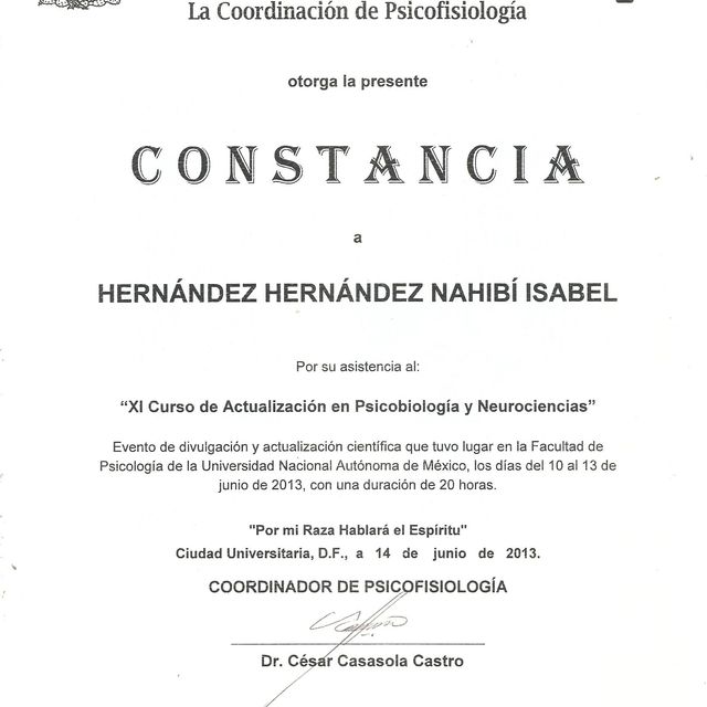 Ampliar imagen: certificate 9
