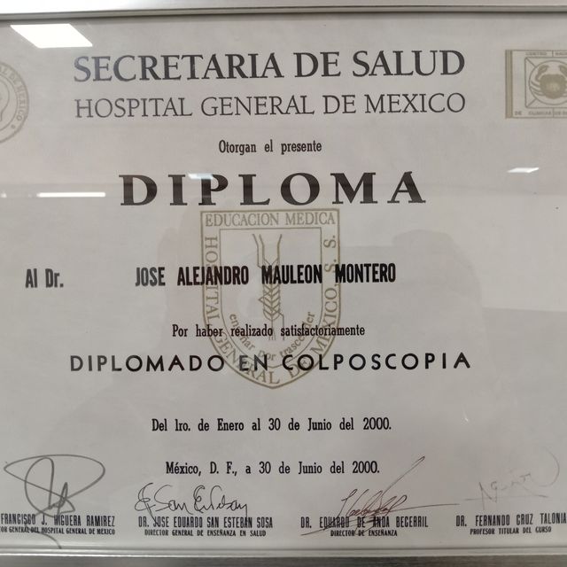 Ampliar imagen: certificate 6