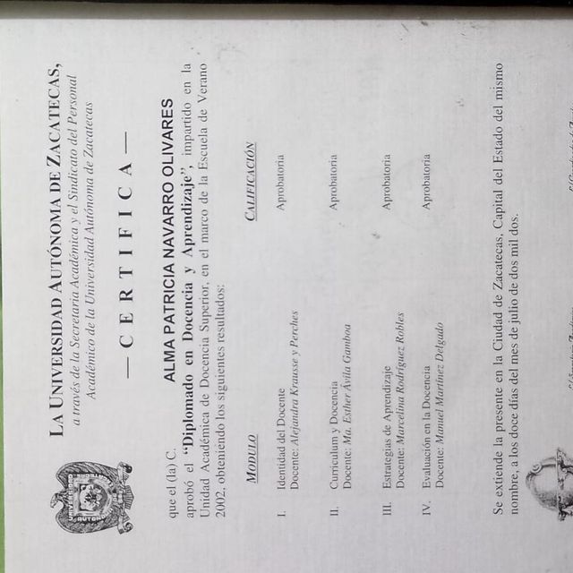 Ampliar imagen: certificate 5