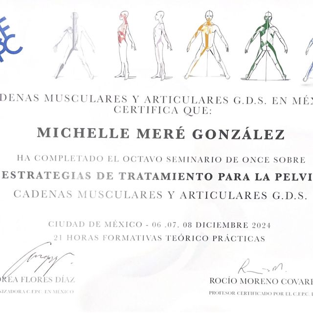 Ampliar imagen: certificate 8