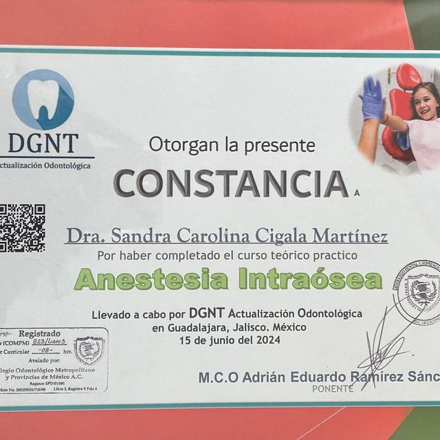 Ampliar imagen: certificate 5