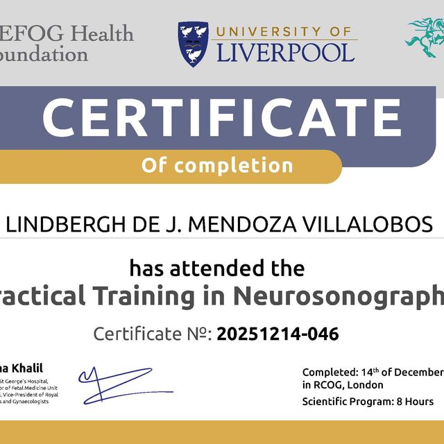 Ampliar imagen: certificate 4
