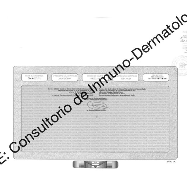 Ampliar imagen: certificate 7