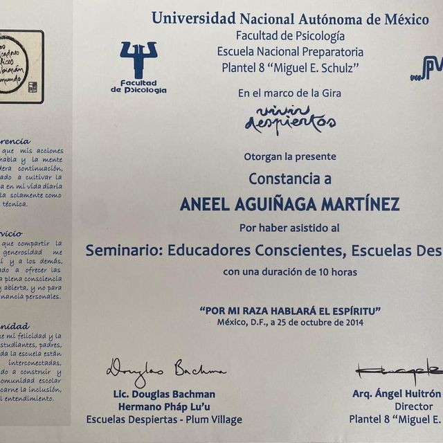 Ampliar imagen: certificate 4