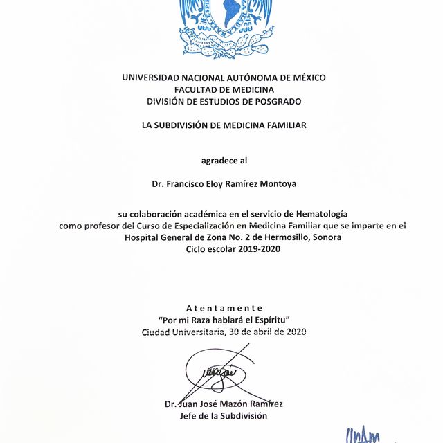 Ampliar imagen: certificate 19