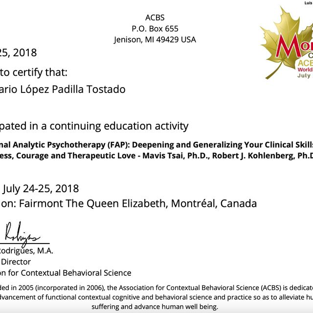Ampliar imagen: certificate 3