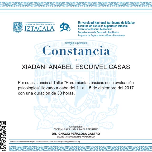 Ampliar imagen: certificate 11
