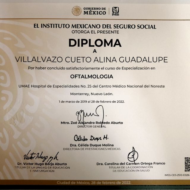 Ampliar imagen: certificate 3