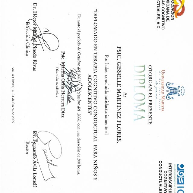 Ampliar imagen: certificate 6