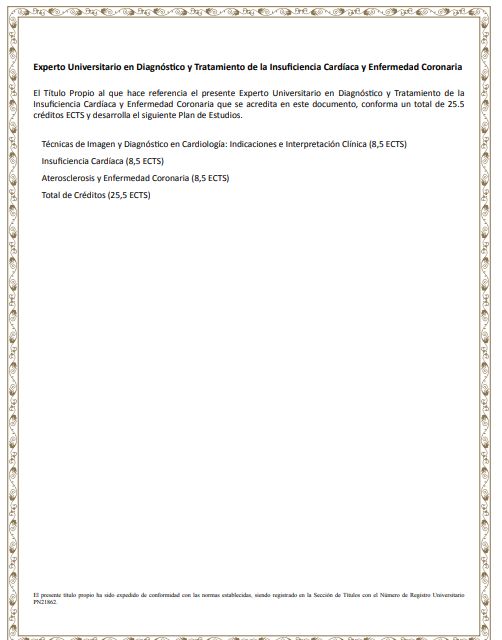 Ampliar imagen: certificate 5