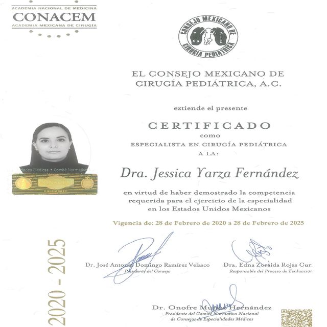 Ampliar imagen: certificate 7