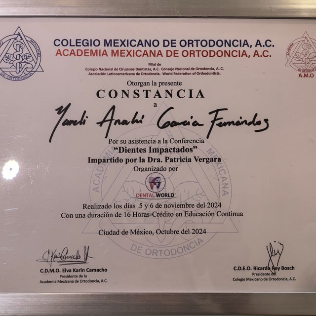 Ampliar imagen: certificate 3