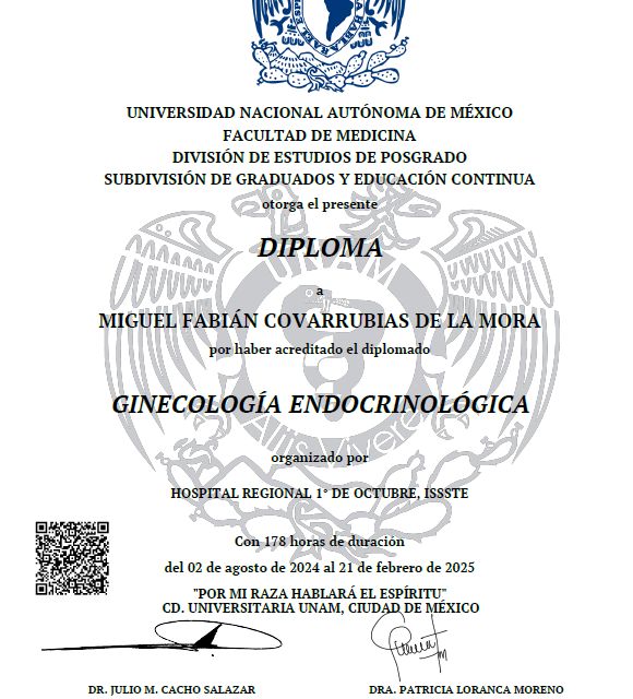 Ampliar imagen: certificate 2