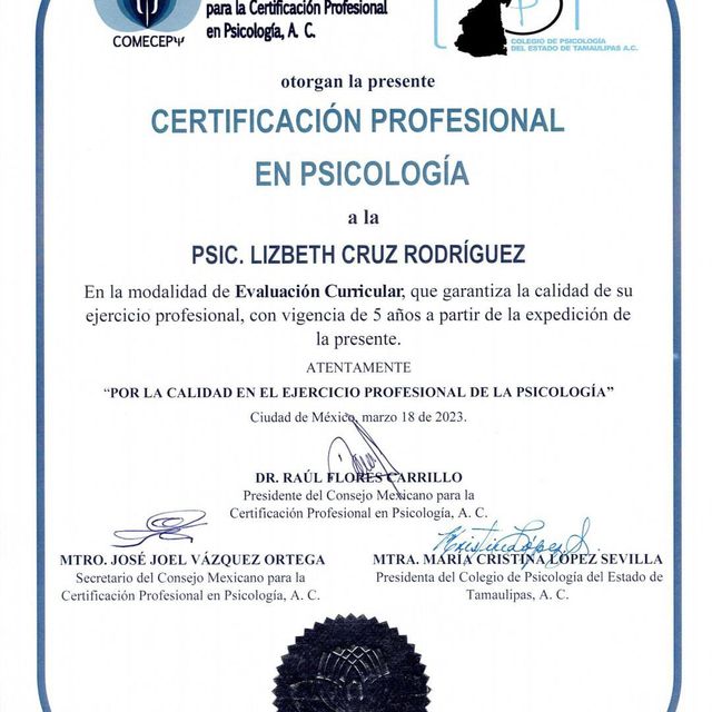 Ampliar imagen: certificate 14