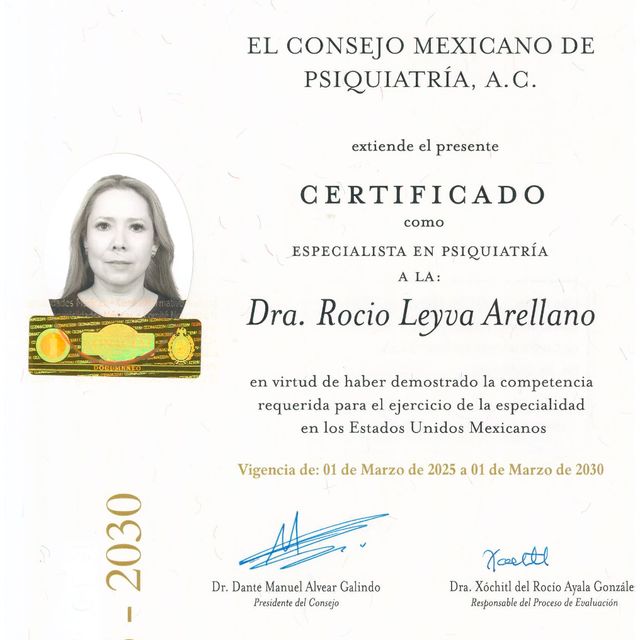 Ampliar imagen: certificate 3