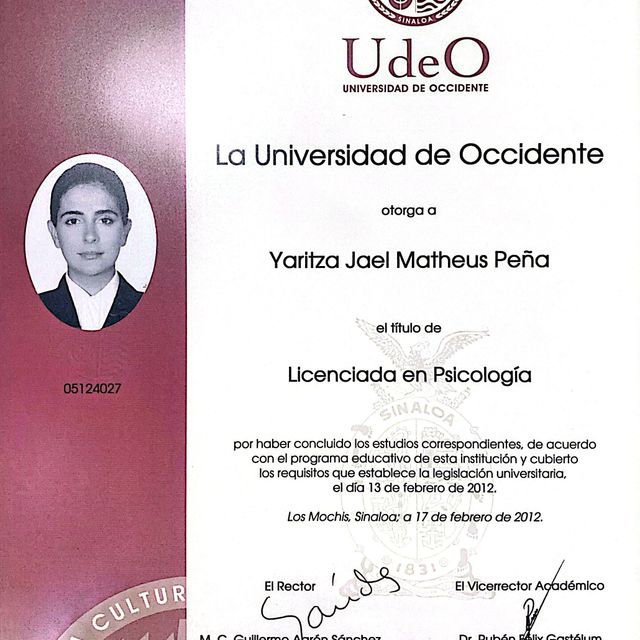 Ampliar imagen: certificate 2