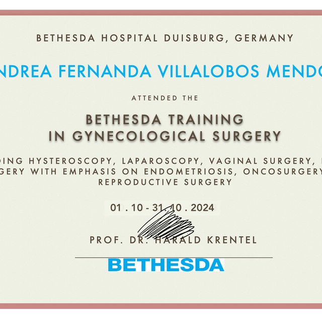 Ampliar imagen: certificate 2