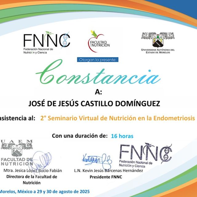 Ampliar imagen: certificate 4