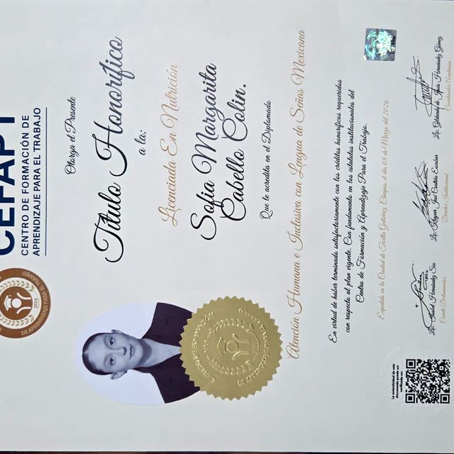 Ampliar imagen: certificate 4