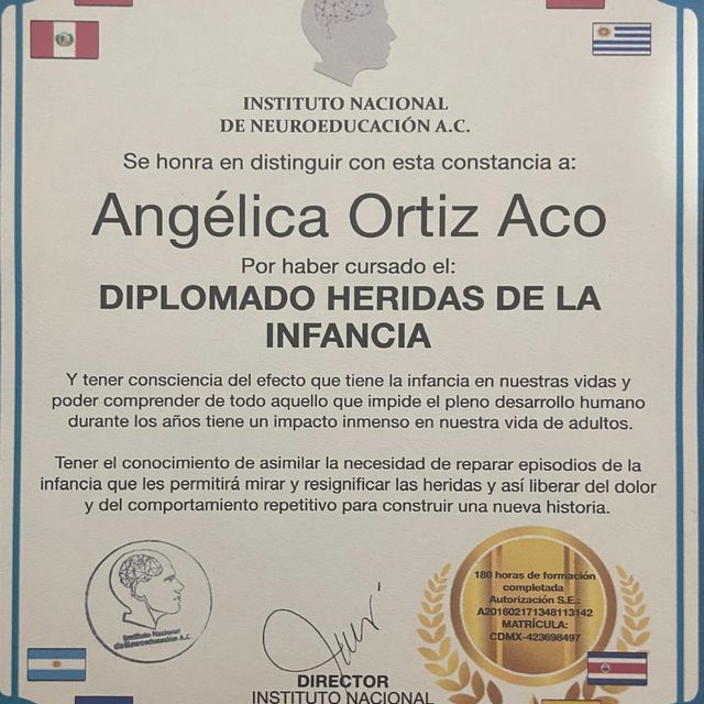 Ampliar imagen: certificate 4