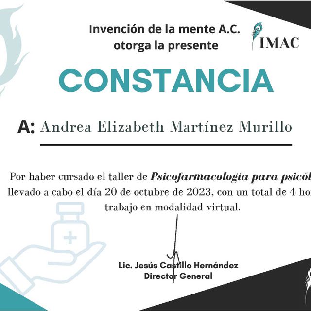 Ampliar imagen: certificate 51
