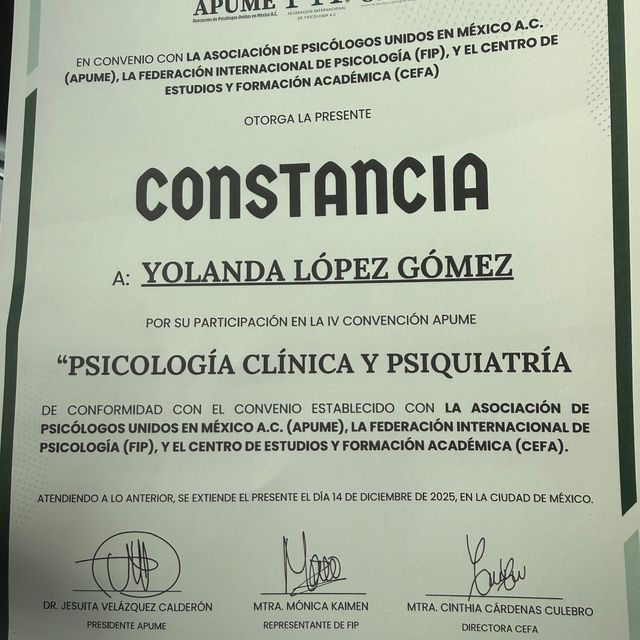 Ampliar imagen: certificate 5